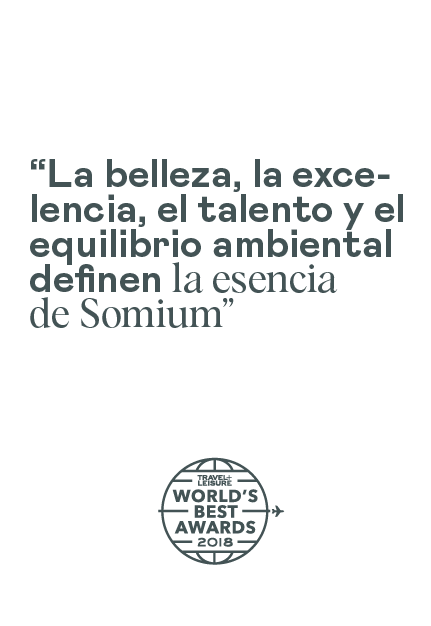 World Best Awards | Somium