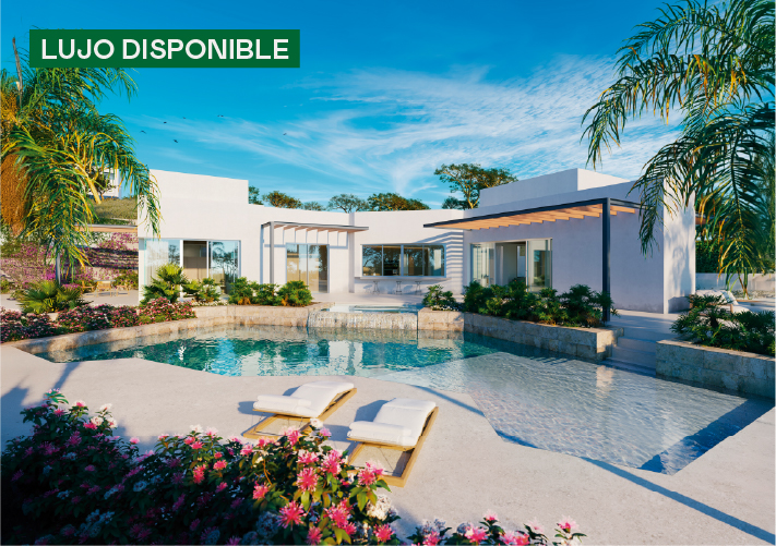 Ensoa - lujo disponible-100